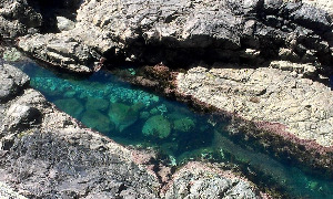 Lihou (Venus Pool)