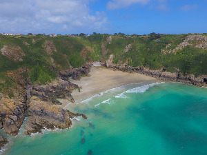 Petit Port