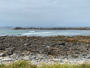 Portinfer
