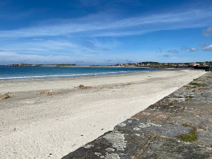 Vazon