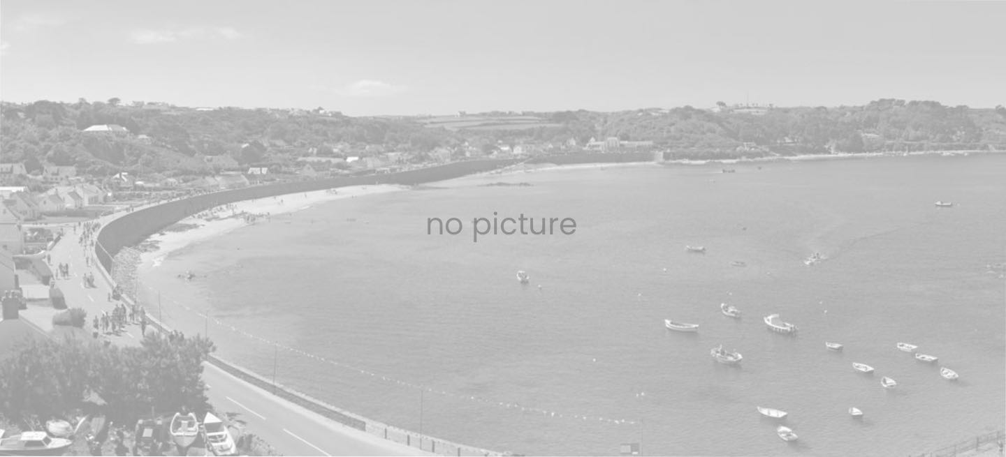 no pic